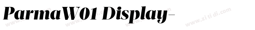 ParmaW01 Display字体转换